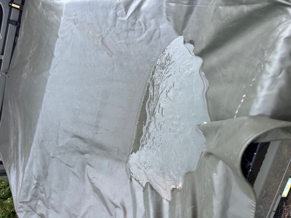 外は寒いのね(^^;の画像